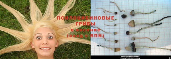 дурь Алексеевка