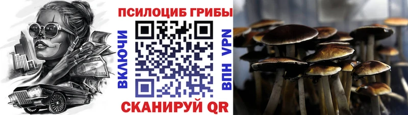 kraken маркетплейс  Алупка  Псилоцибиновые грибы Magic Shrooms 