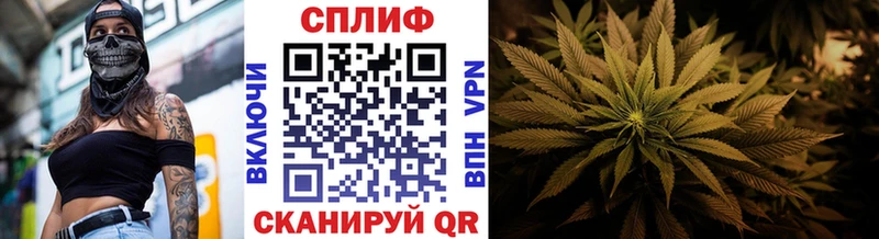 Конопля сатива Алупка